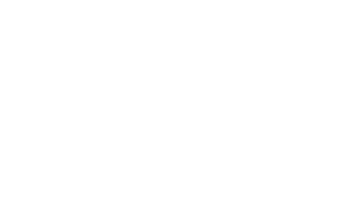 基本情報